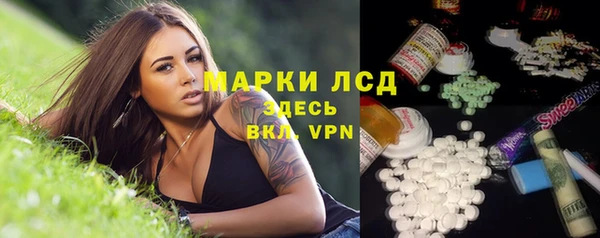 ECSTASY Алзамай