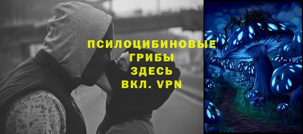 прущие крисы Алексин