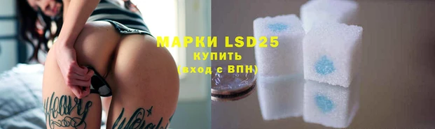 apvp Аркадак