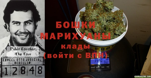 дживик Арсеньев