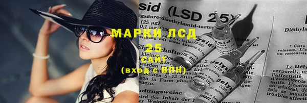 apvp Аркадак