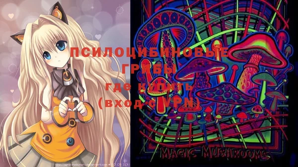 прущие крисы Алексин