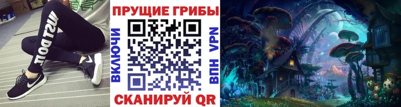 как найти Белокуриха Псилоцибиновые грибы Psilocybe