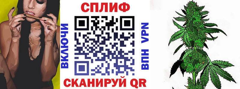 darknet телеграм Белокуриха Марихуана план